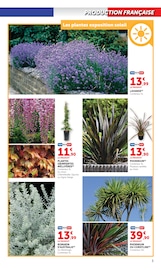Jardinage en promo dans le catalogue Hyper U à la page 3