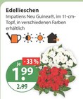 Edellieschen im aktuellen V-Markt Prospekt für 1,99 €