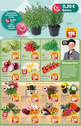 REWE Blumen im Prospekt 