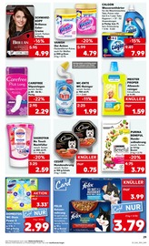 Aktueller Kaufland Prospekt mit WC, "Aktuelle Angebote", Seite 29