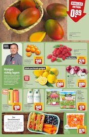 Ähnliche Vegetarische Würstchen Angebote im Prospekt "Dein Markt" von REWE Ähnliches Angebot bei REWE in Prospekt "Dein Markt" gefunden auf Seite 6