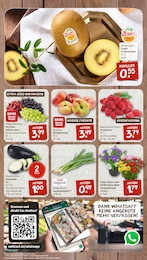 Zwiebeln Angebot im aktuellen nahkauf Prospekt auf Seite 3