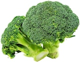 Aktuelle Gemüse Angebote bei REWE in Bottrop Aktuelles Broccoli Angebot bei REWE in Bottrop ab 1,11 €