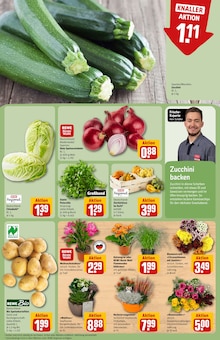 Kräuter im aktuellen REWE Prospekt (Frankfurt (Main)) Kräuter im REWE Prospekt "Dein Markt" mit 30 Seiten (Frankfurt (Main))