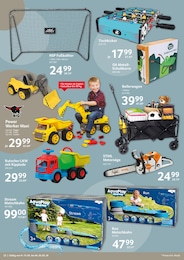 Bollerwagen Angebot im aktuellen Selgros Prospekt auf Seite 22