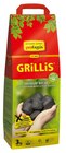 Holzkohle oder Briketts 3 kg Angebote von proFagus bei REWE Dessau-Roßlau für 7,99 €