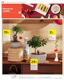 Offre Plante D'intérieur dans le catalogue Carrefour du moment à la page 40