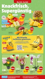 Ananas im Penny Prospekt in Darmstadt Aktueller Penny Prospekt mit Ananas, "Wer günstig will, muss Penny.", Seite 2