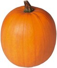 Halloween Kürbis Angebote von REWE Regional bei REWE Heidelberg für 3,99 €