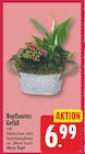 nah und gut Kalletal - Bepflanztes Gefäß Angebot im Prospekt Bepflanztes Gefäß bei nah und gut im Kalletal Prospekt für 6,99 €