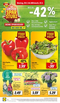 Heimwerken Angebot im Lidl Prospekt, gültig von 20.03.2023 bis 25.03.2023 Heimwerken Angebot im aktuellen Lidl Prospekt auf Seite 8