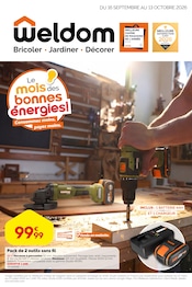 Promos Bricolage dans le catalogue "Le mois des bonnes énergies !" de Weldom Bricolage en promo dans le catalogue Weldom à la page 1
