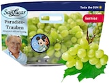 Aktuelle Weintrauben Angebote bei REWE in Stuttgart Aktuelles Paradies-Trauben hell oder Paradies-Trauben rot Angebot bei REWE in Stuttgart ab 2,99 €