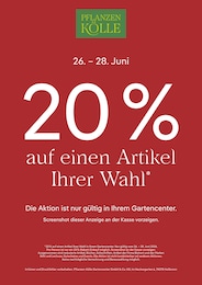Pflanzen Kölle Prospekt für Ludwigsburg mit 1 Seite Pflanzen Kölle Prospekt für Ludwigsburg: "20% auf einen Artikel Ihrer Wahl", 1 Seite, 26.06.2026 - 28.06.2026
