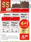 Aktuelles Pflanz-Erde Angebot bei Hellweg in Recklinghausen ab 6,99 €