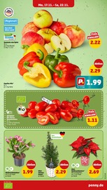 Weihnachten im Penny Prospekt in Vlotho Aktueller Penny Prospekt mit Weihnachten, "Wer günstig will, muss Penny.", Seite 5