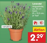 Lavendel Angebote bei Netto Marken-Discount Wolfsburg für 2,29 €