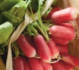 Promo Radis Rose à 1,38 € dans le catalogue Netto à Montbard