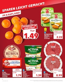 Aktueller Kaufland Prospekt