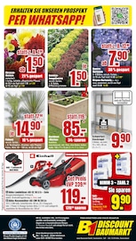 Palme im B1 Discount Baumarkt Prospekt in Essen Aktueller B1 Discount Baumarkt Prospekt mit Palme, "BESTPREISE DER WOCHE!", Seite 6