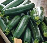 Intermarché Super Hermillon - Promo Courgette Promo Courgette à 0,99 € dans le catalogue Intermarché Super à Hermillon