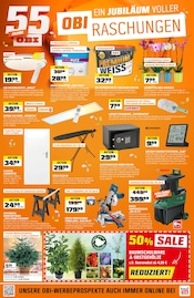 Aktueller OBI Baumärkte Prospekt in Waldkappel und Umgebung, "EIN JUBILÄUM VOLLER OBIRASCHUNGEN" mit 4 Seiten, 25.10.2025 - 01.11.2025