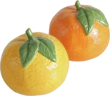 Bauzentrum Reinholdshain Dippoldiswalde - Dekoaufsteller „Orange“ Angebot im Prospekt Dekoaufsteller „Orange“ bei Bauzentrum Reinholdshain im Dippoldiswalde Prospekt für 2,29 €