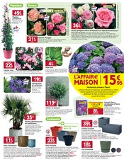 Promos Laurier dans le catalogue "On M vous voir vivre au grand air" de LaMaison.fr Laurier en promo dans le catalogue LaMaison.fr à la page 7