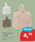 Türstopper Teddy im aktuellen budni Prospekt