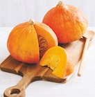 Potimarron en promo chez Super U Potimarron dans le catalogue Super U