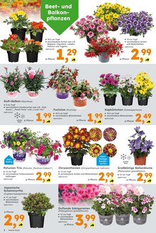 Globus-Baumarkt Prospekt der Woche "Immer eine Idee besser" Seite 2, 31.05.2026 bis 06.06.2026 für St. Wendel Aktueller Globus-Baumarkt Prospekt "Immer eine Idee besser" Seite 2 von 17 Seiten für St. Wendel