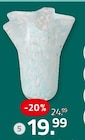 Vase von  im aktuellen ROLLER Prospekt für 19,99 €