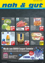 Aktueller nah und gut Supermarkt Prospekt in Torgau und Umgebung, "Wir lieben Lebensmittel!" mit 8 Seiten, 04.08.2025 - 09.08.2025