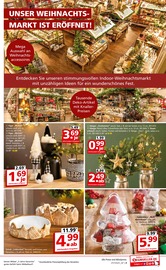 Aktueller Segmüller Prospekt mit Tannenbaum, "100 Jahre Segmüller - Highlight Angebote", Seite 3