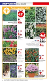 Photinia Angebote im Prospekt "Super U" von Super U auf Seite 2