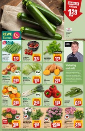 Paprika im REWE Prospekt in Ettlingen Aktueller REWE Prospekt mit Paprika, "Dein Markt", Seite 7
