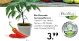 Bio-Gourmet-Gemüsepflanzen Kürbis Angebote von Plantilot bei Hellweg Rheda-Wiedenbrück für 3,99 €