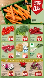 REWE Pflanzen im Prospekt REWE Pflanzen im Prospekt