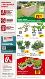 Hochbeet Angebot im aktuellen toom Baumarkt Prospekt auf Seite 2