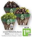 Bio Bunte Salate im aktuellen Prospekt bei EDEKA in Buchenbach
