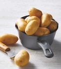 Super U Civray - Promo Pomme de terre de consommation Promo Pomme de terre de consommation à 2,49 € dans le catalogue Super U à Civray