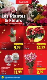 Prix et réduction Décoration Sapin Noël dans le prospectus Lidl en cours Offre Décoration Sapin Noël dans le catalogue Lidl du moment à la page 36