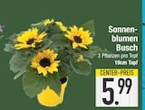 Angebot im E center Treuchtlingen Prospekt E center Treuchtlingen Prospekt mit im Angebot für 5,99 €