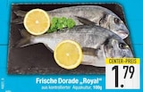Aktuelle Fisch Angebote bei E center in Regensburg Aktuelles Frische Dorade 'Royal' Angebot bei E center in Regensburg ab 1,79 €