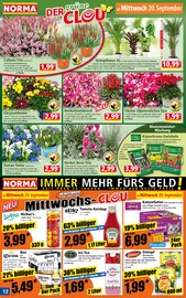 Bier im Norma Prospekt in Reichshof Aktueller Norma Prospekt mit Bier, "Mehr fürs Geld", Seite 12
