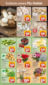 Kartoffeln im aktuellen REWE Prospekt (Bergisch Gladbach) Kartoffeln im REWE Prospekt "Dein Markt" mit 26 Seiten (Bergisch Gladbach)