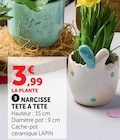 Narcisse Tête à Tête en promo chez Super U Caen à 3,99 €