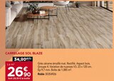 Carrelage sol blaze à Gedimat dans Ceaux-en-Couhé