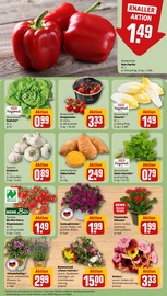 Aktueller REWE Prospekt mit Blumen, "Dein Markt", Seite 7
