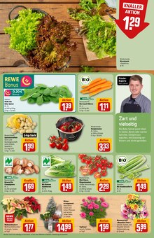 Zimmerpflanzen im aktuellen REWE Prospekt (Frankfurt (Main)) Zimmerpflanzen im REWE Prospekt "Dein Markt" mit 32 Seiten (Frankfurt (Main))